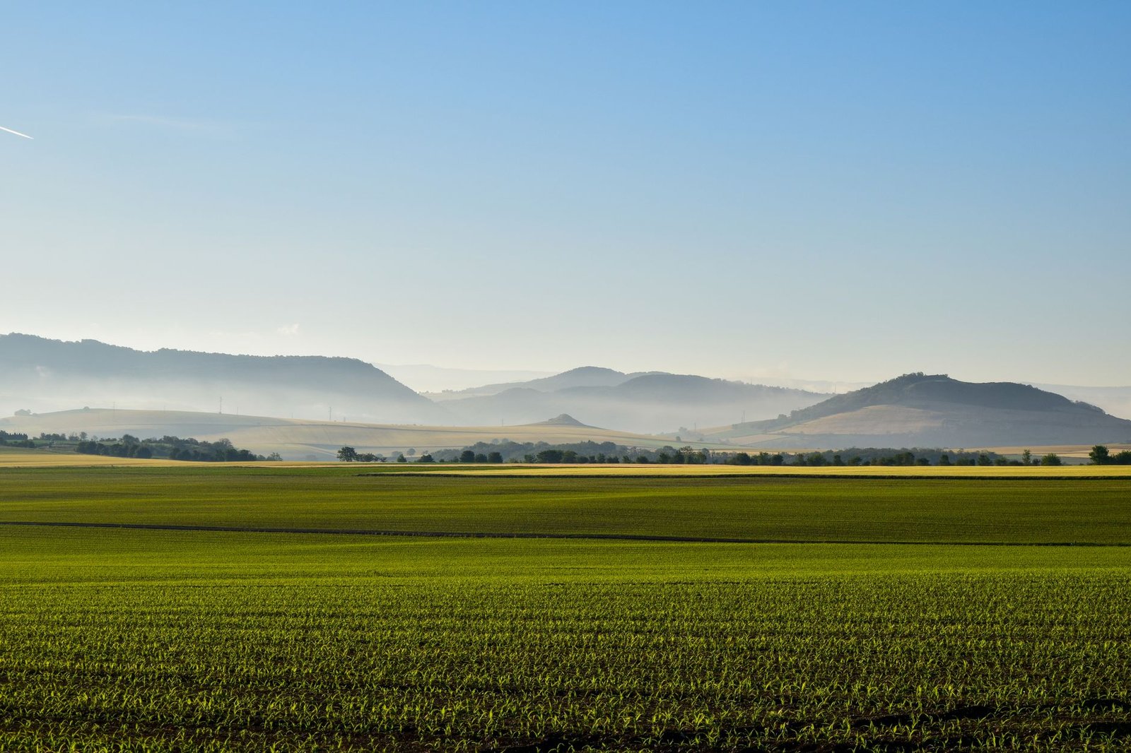 French Hill Highlights CLARITY Act as 2026 Passage Odds Hit 15%
