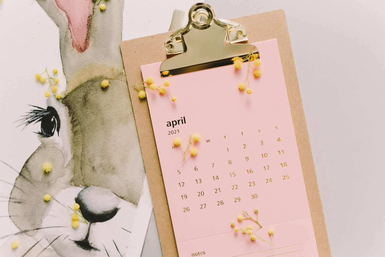 How months of work on the Clarity Act all fell apart