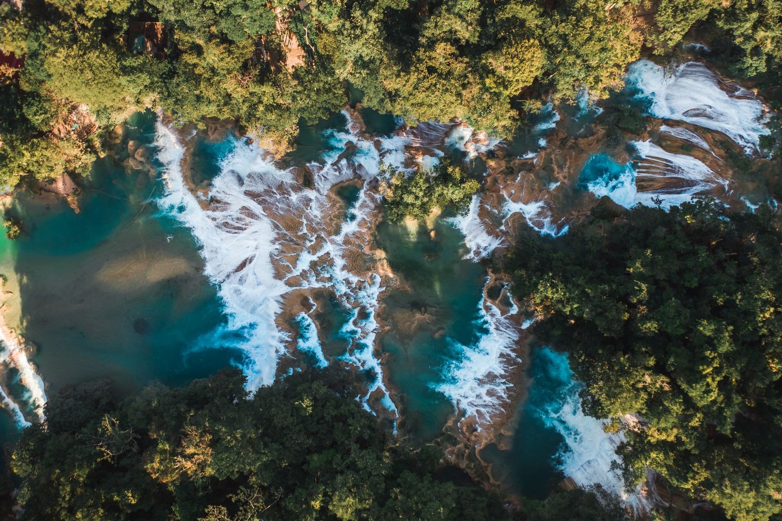 Deep in Mexico’s Jungle, Police Found 300 Crypto Miners Humming
