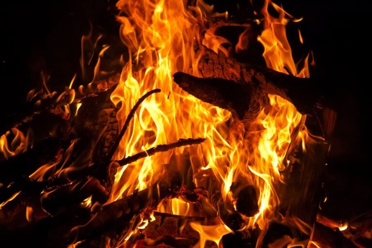 Firelight raises $8 million, expands beyond XRP as it aims to make DeFi less scary for fintechs