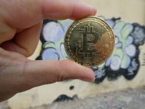 Bitwise to put down Dogecoin ETF less than a year after launch