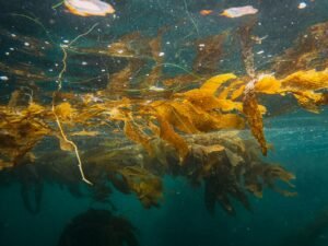 KelpDAO sues LayerZero for the largest exploit 2026 has seen so far