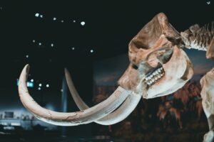 DNA From a 42,000-Year-Old ‘Last Neanderthal’ Points to 50,000 Years of Isolation