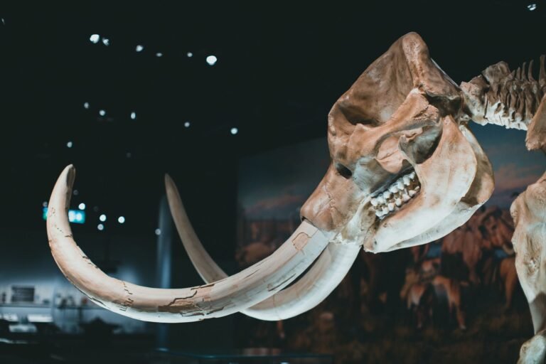 DNA From a 42,000-Year-Old ‘Last Neanderthal’ Points to 50,000 Years of Isolation