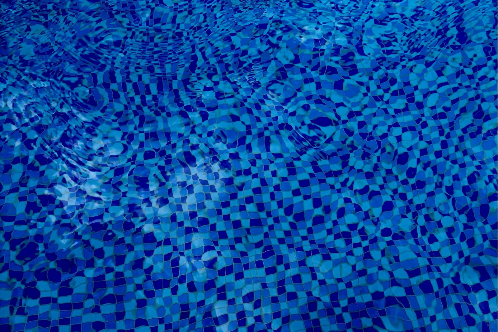 Why a Liquidity Pool Can Earn Fees and Still Trail Holding