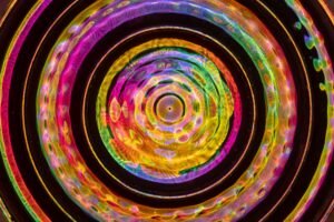 Cardano Foundation spins out Veridian, tokenizes its shares on new standard