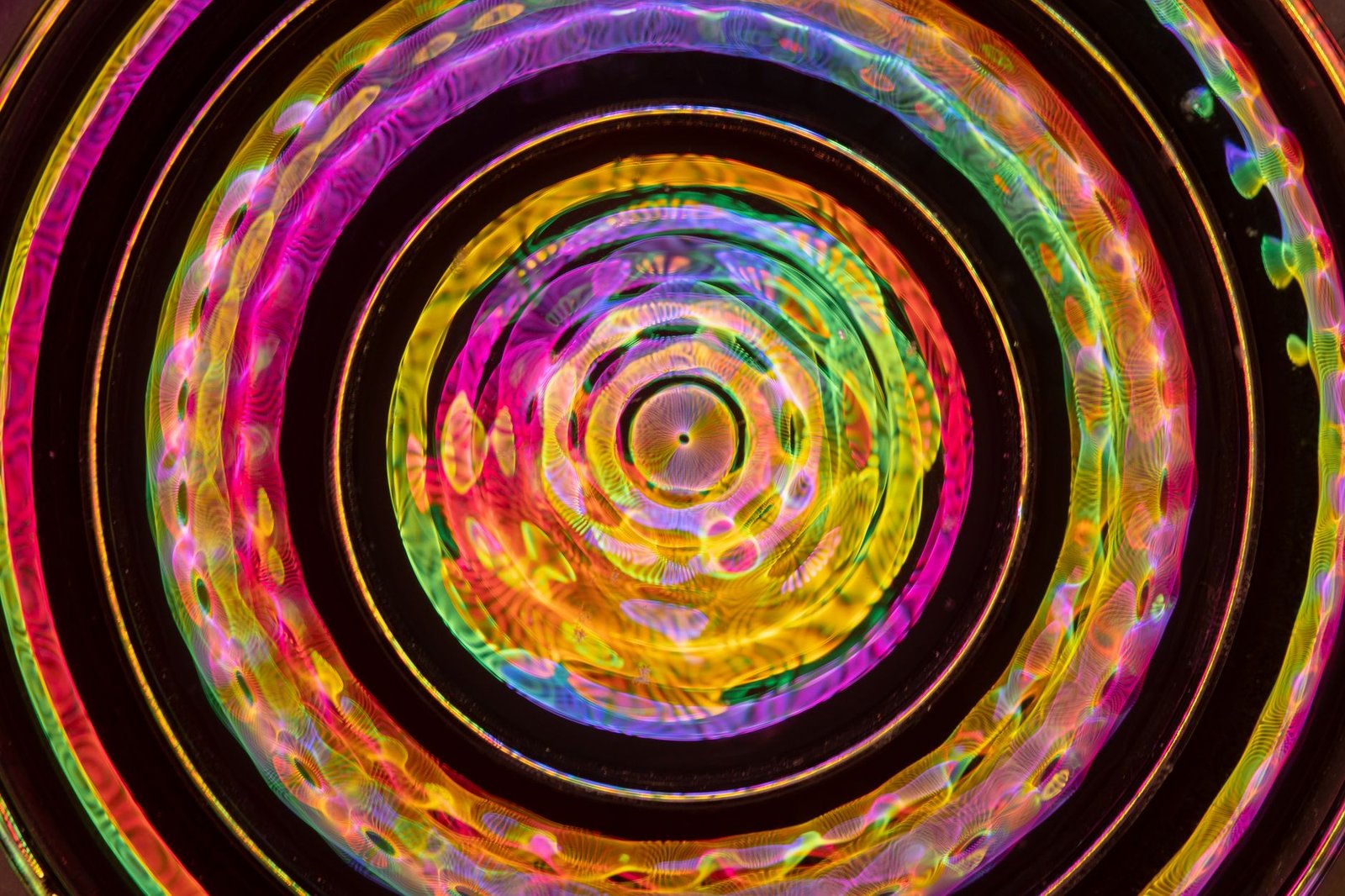 Cardano Foundation spins out Veridian, tokenizes its shares on new standard