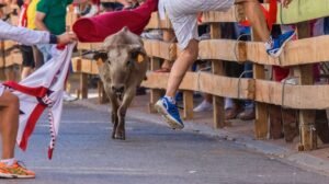 CryptoQuant: BTC “Bull Run Has Started” – 3x to 5x Cycle Outlook | Ki Young Ju