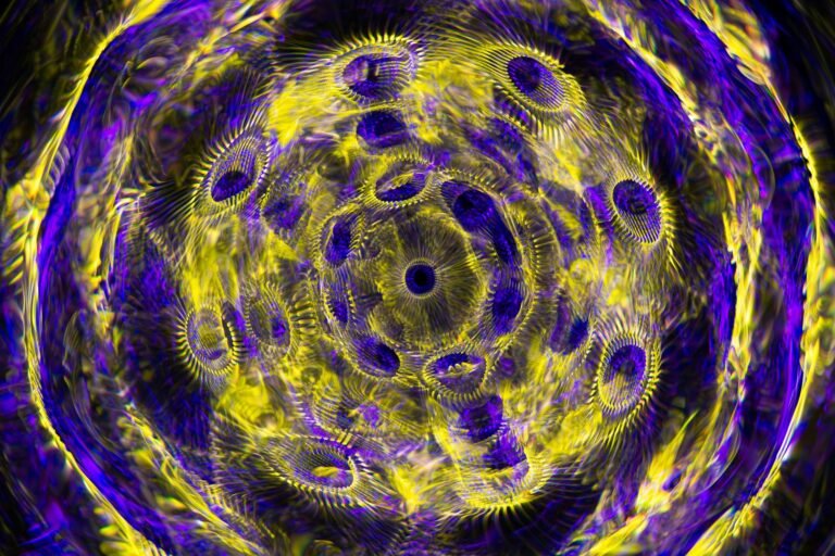 Anthropic Says Claude Traced NIST Curve Seeds to 1990s Timestamps