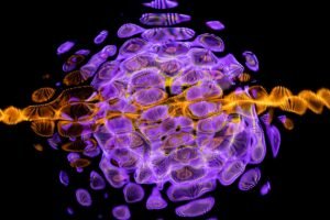 Quantum Alliance forms amid warnings 6.4 million bitcoin face future quantum threat