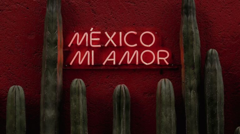 MEXC Sets France Exit Schedule as Brazil Licensing Deadline Nears