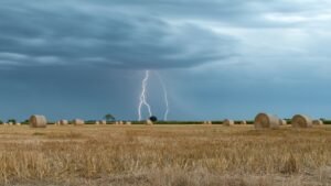 WhiteBIT Integrates Lightning Network for Fast and Cheap Bitcoin Transactions
