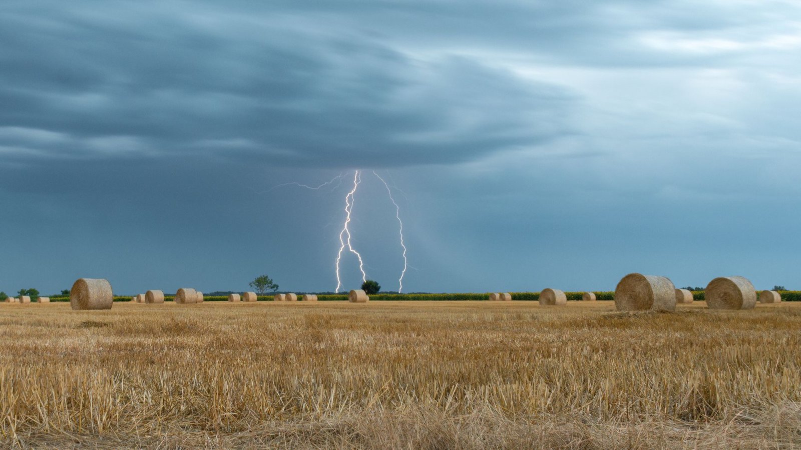 WhiteBIT Integrates Lightning Network for Fast and Cheap Bitcoin Transactions