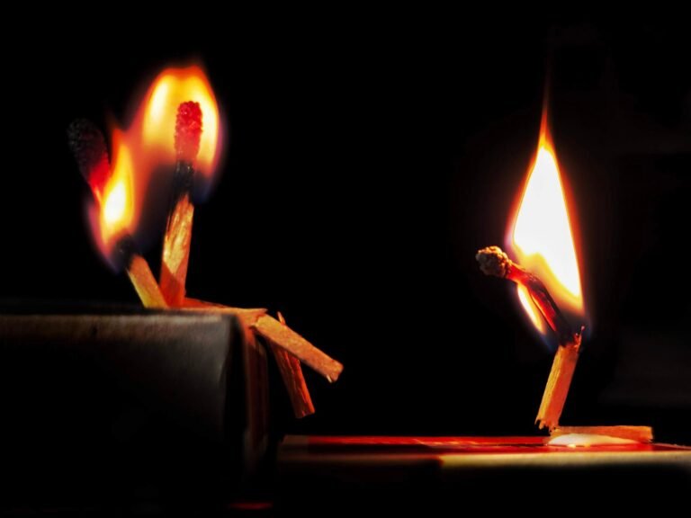 Firelight Adds $30.5 Million of Cover to Kraken USDC Vault