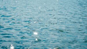 Coinbase Lists Ripple’s RLUSD With Transfers on Three Networks