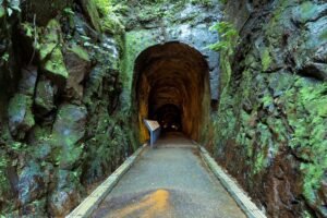 Sui tunnels hit 40.6M TPS in live AI agent test