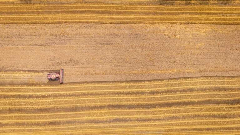 Strive’s SATS: How 15% Yield Becomes A Bitcoin Accretion Machine