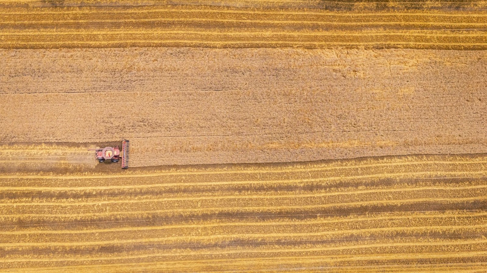 Strive’s SATS: How 15% Yield Becomes A Bitcoin Accretion Machine
