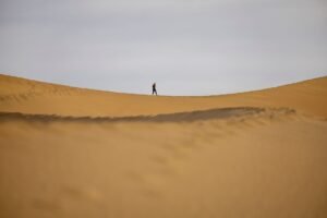 Dune launches real-time data feeds covering 200 onchain trading venues
