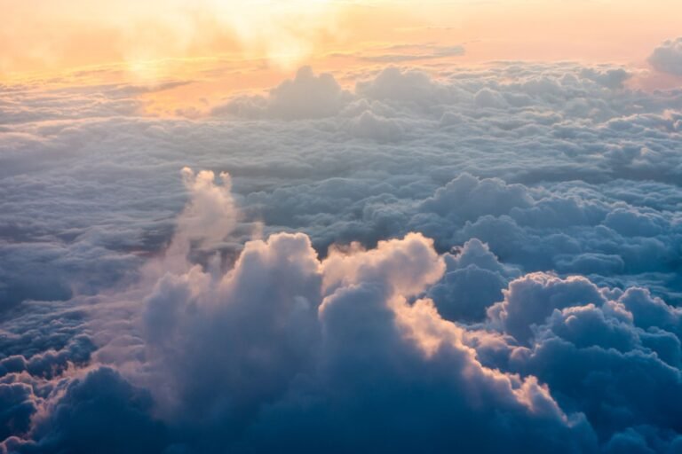 Musk warns over 200 AI neoclouds face ‘guppy-level death’