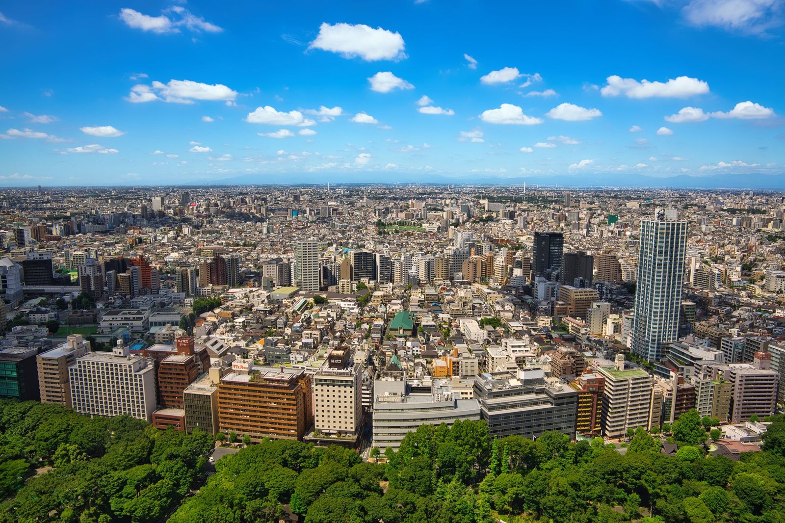 Japan adds Garantex to list of Russia sanctions over Ukraine war