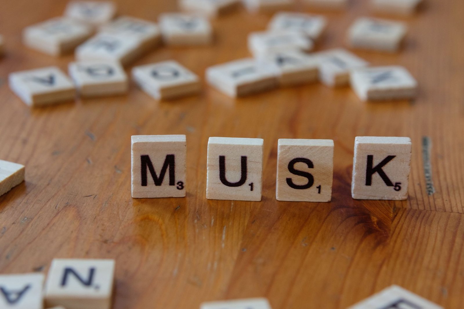 Elon Musk confirms $40 billion SpaceX debt deal for AI chips, warns of neocloud shakeout