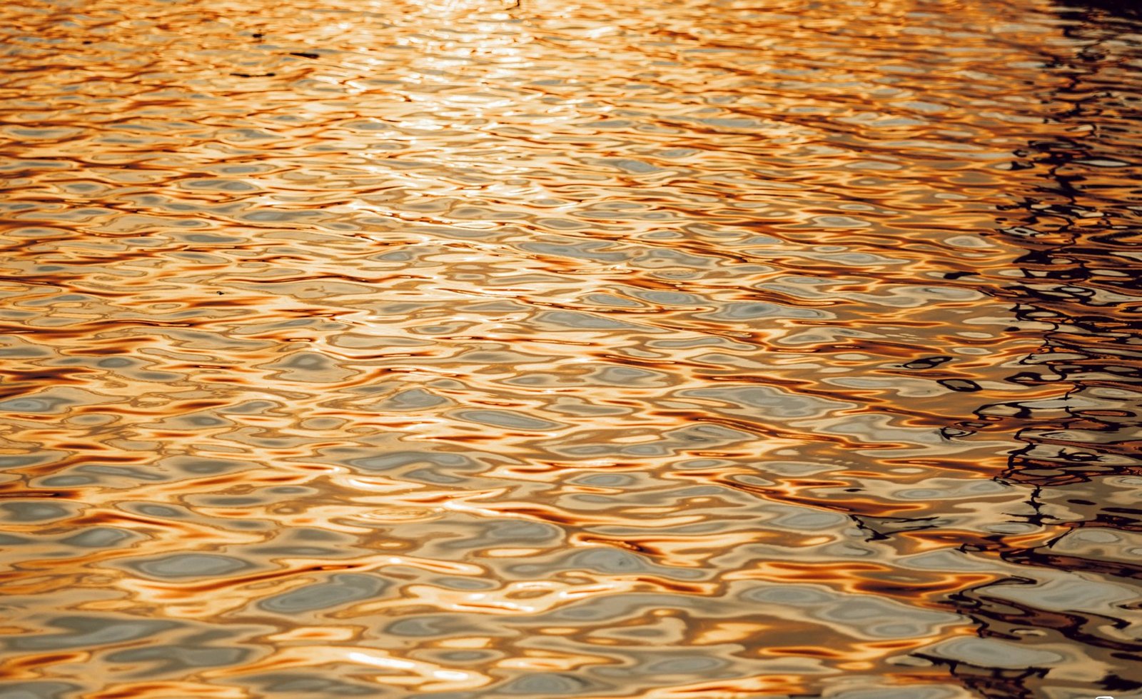 Coinbase Adds Ripple’s $2.6B RLUSD Stablecoin Across XRP Ledger and Beyond