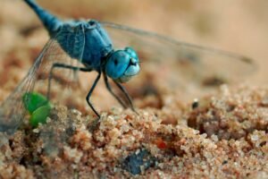 Dragonfly partner rejects ‘bunker mode’ doomerism, calls for proactive blockchain measures
