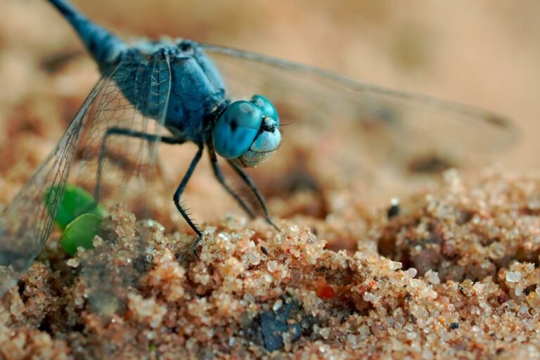 Dragonfly partner rejects ‘bunker mode’ doomerism, calls for proactive blockchain measures