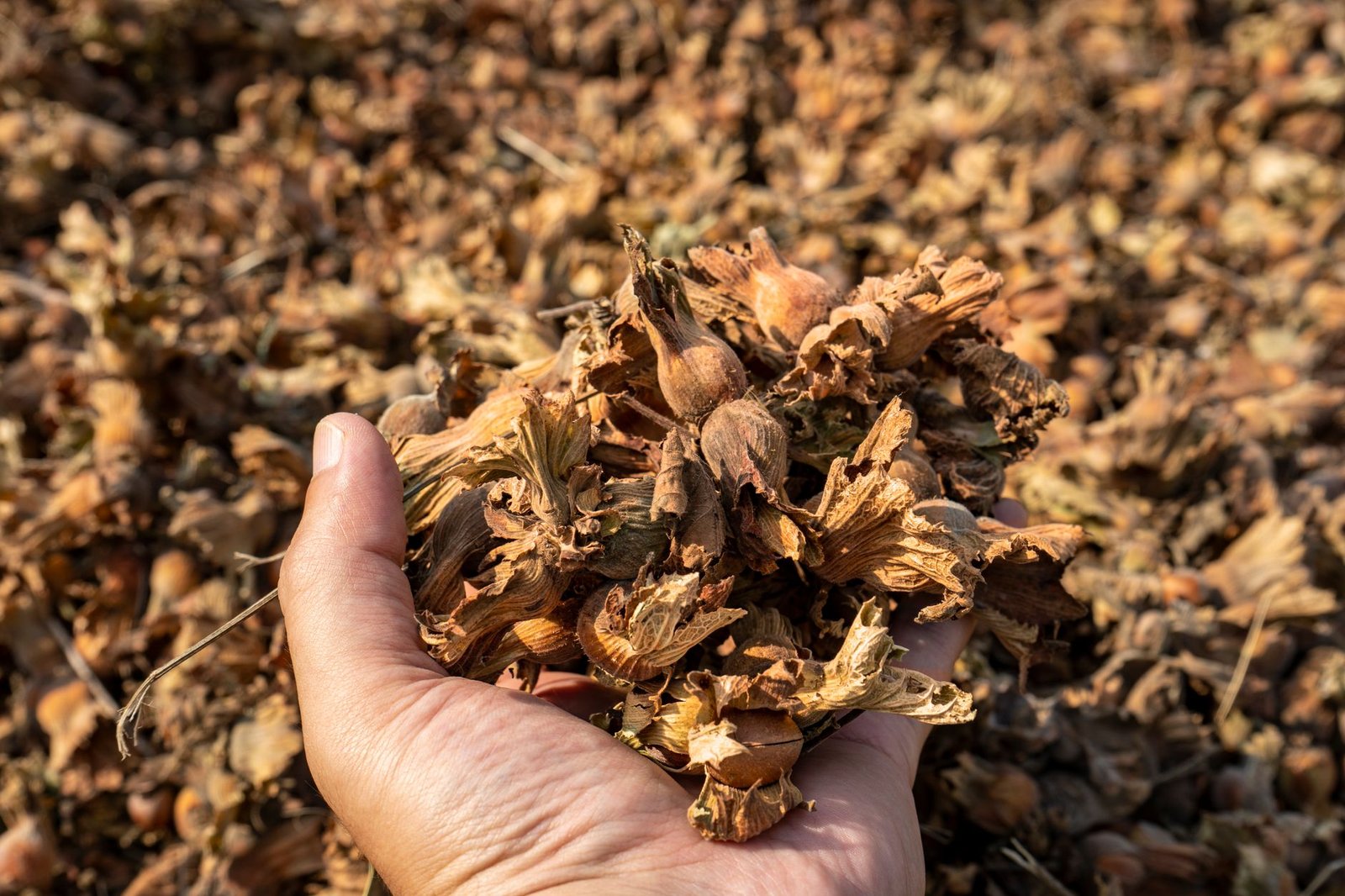 Anthropic’s $2 Trillion IPO Is ‘Nuts’ Says Devere Amid Warning of Risks to Savers
