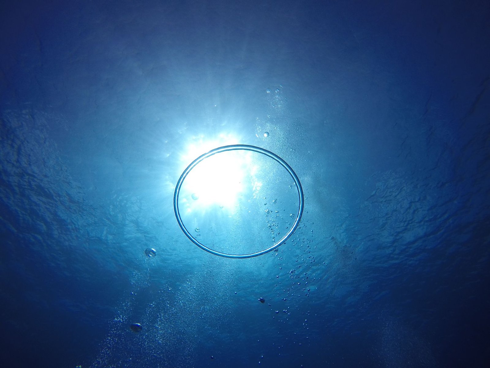 Zcash Dives 16%, Falling Harder Than Bitcoin Amid Market Sell-Off