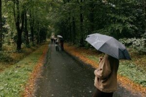 Rain is seeking a national trust bank charter to bypass third-party banks