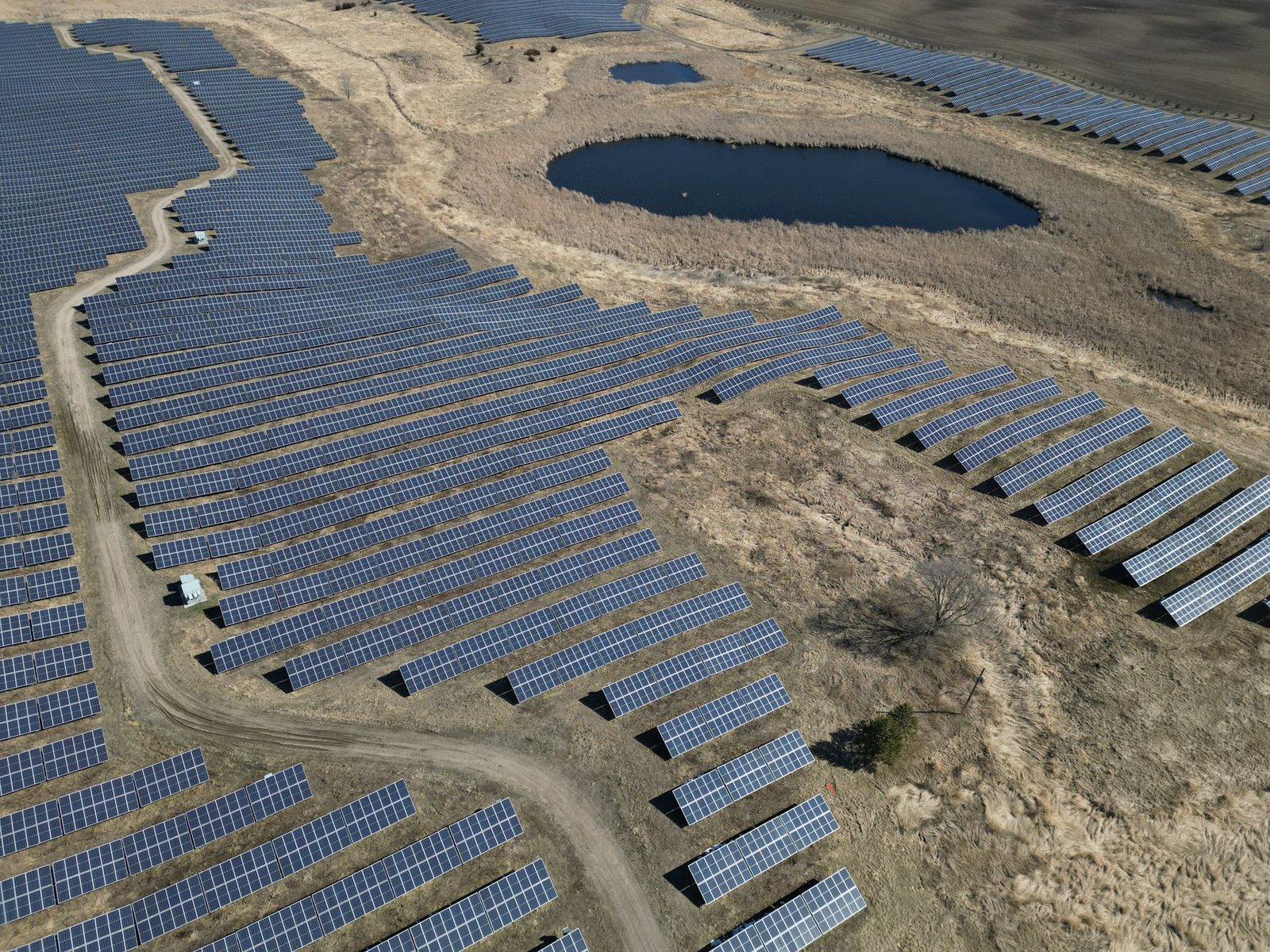 $250M FalconX Facility Powers Ibis Push Into Onchain Credit