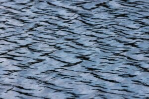 Ripple’s $10M RLUSD Donation Could Help Generate $900M: Report