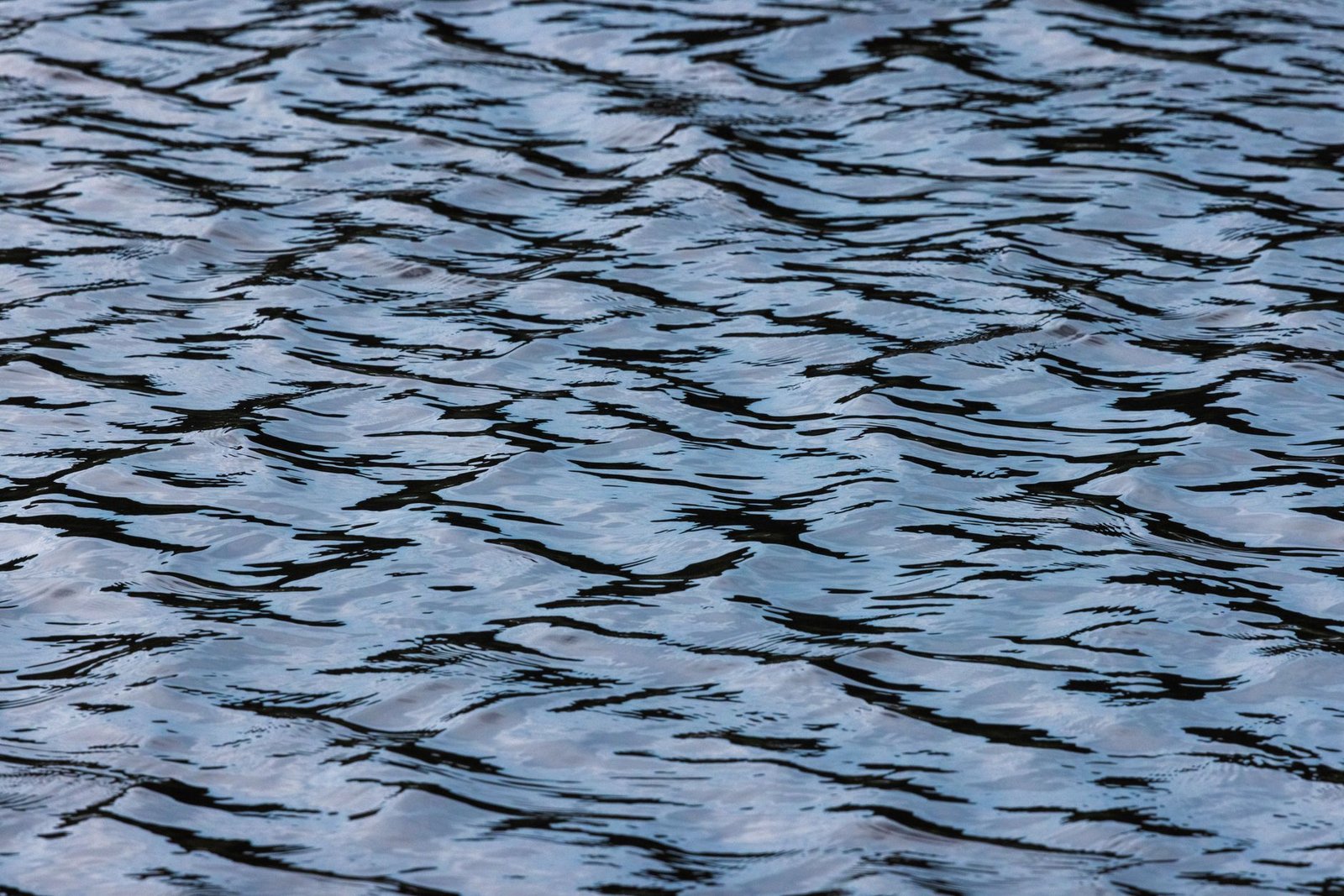 Ripple’s $10M RLUSD Donation Could Help Generate $900M: Report