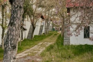 Housingwire’s Logan Mohtashami: Real Estate vs Bitcoin & Bond Market Outlook