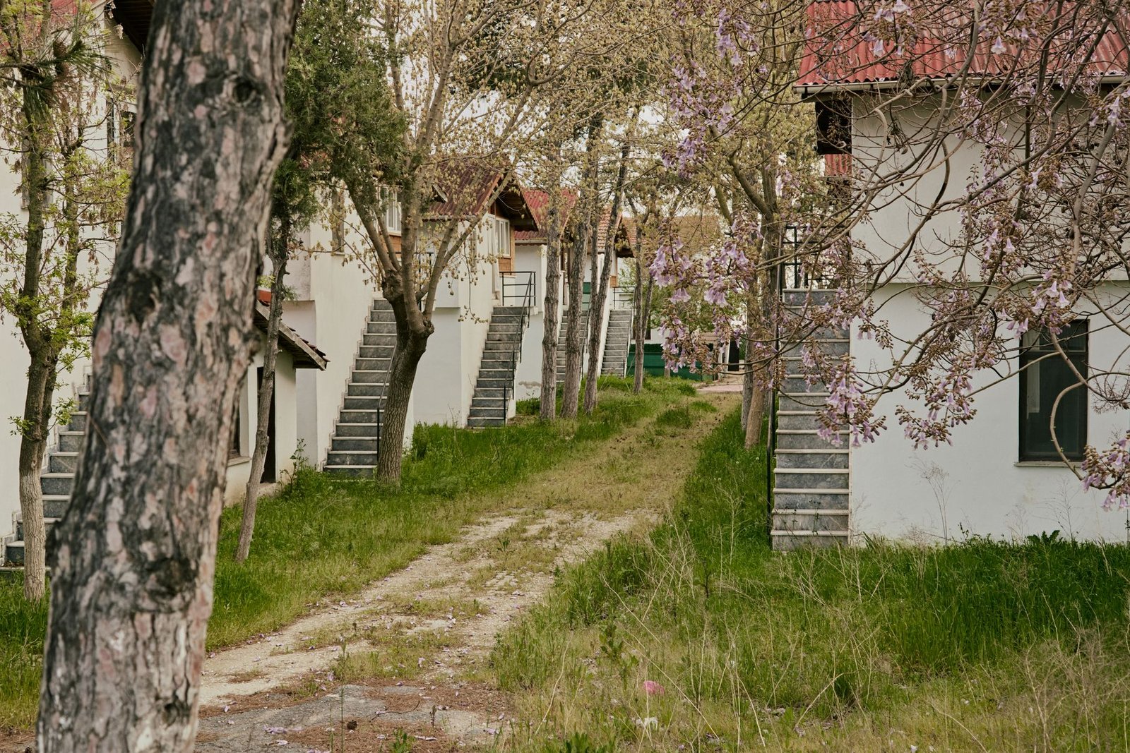 Housingwire’s Logan Mohtashami: Real Estate vs Bitcoin & Bond Market Outlook