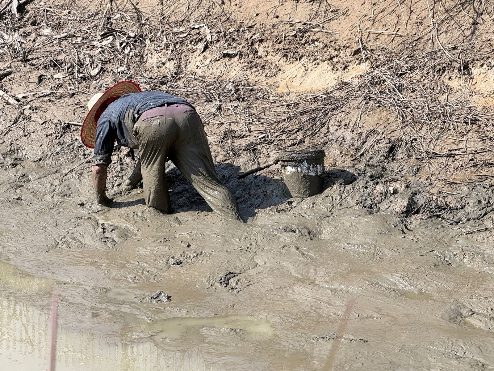 Trader Frogman Drained of $4 Million on the First Morning of TOKEN2049
