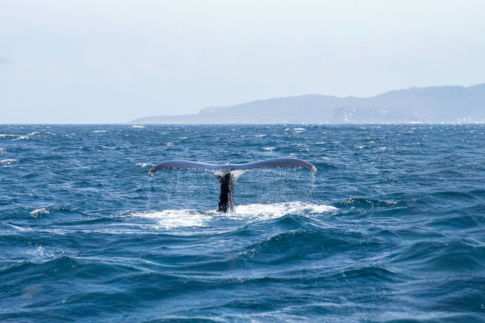 Bitcoin whale moves $34 million in BTC it got in 2013 when coins traded at $131