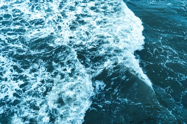 Evernorth Taps Ripple, Kraken, Coinbase and BitGo for XRP Yield Push