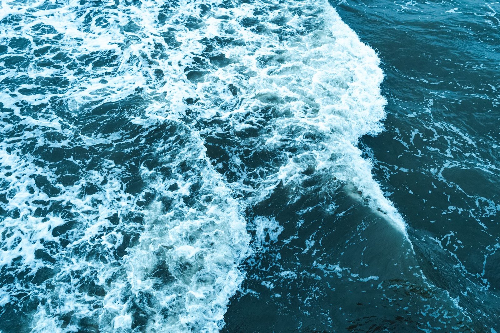 Evernorth Taps Ripple, Kraken, Coinbase and BitGo for XRP Yield Push