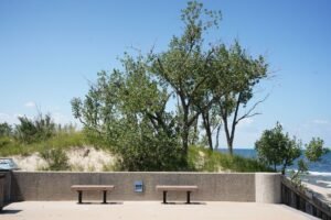 A Michigan Doorstop Was Authenticated as a $100,000 Rock From Space
