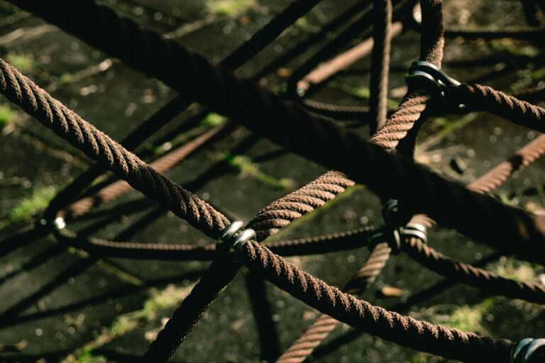 Ontology Restarts Mainnet After Nearly 43-Hour Security Halt