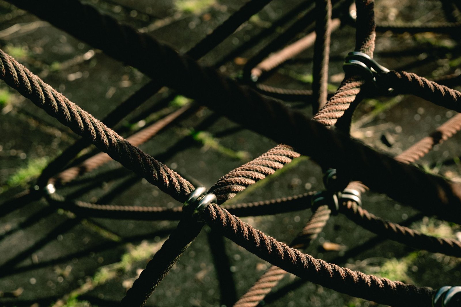 Ontology Restarts Mainnet After Nearly 43-Hour Security Halt