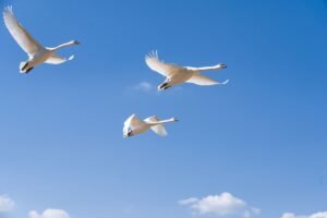 SoFi Stock (SOFI) Soars 15% on Record Quarter, Crypto Reaches 503,000 Products