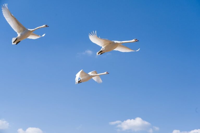SoFi Stock (SOFI) Soars 15% on Record Quarter, Crypto Reaches 503,000 Products