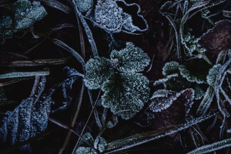 USDT0 Freezes 6.19 Million Tokens Linked to Binance Exploit