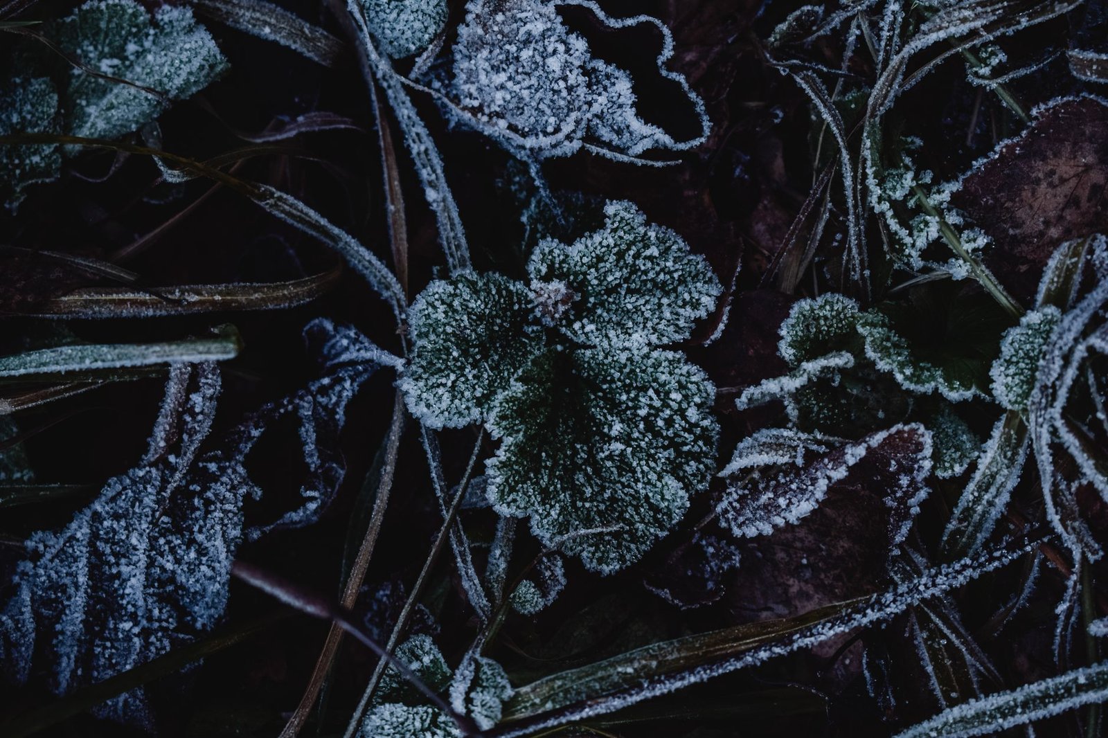 USDT0 Freezes 6.19 Million Tokens Linked to Binance Exploit