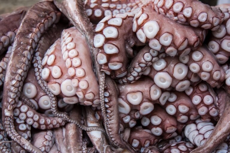 Kraken Eyes Kazakhstan Market After Country Tightens Crypto Rules