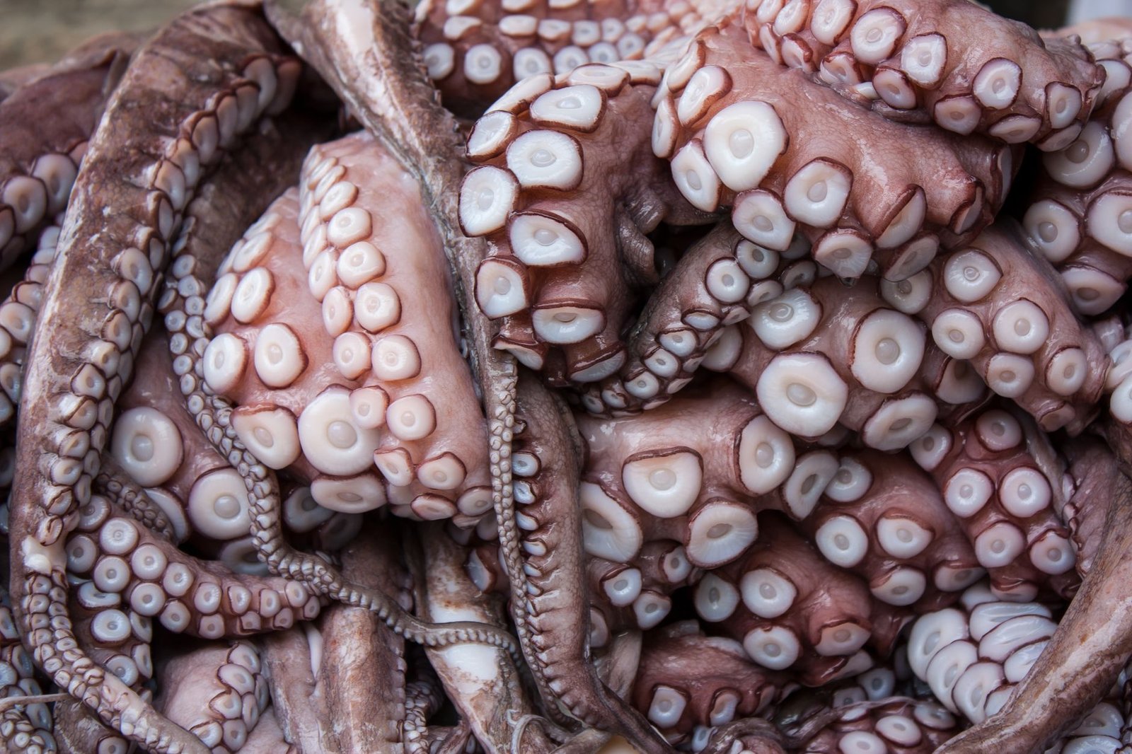 Kraken Eyes Kazakhstan Market After Country Tightens Crypto Rules